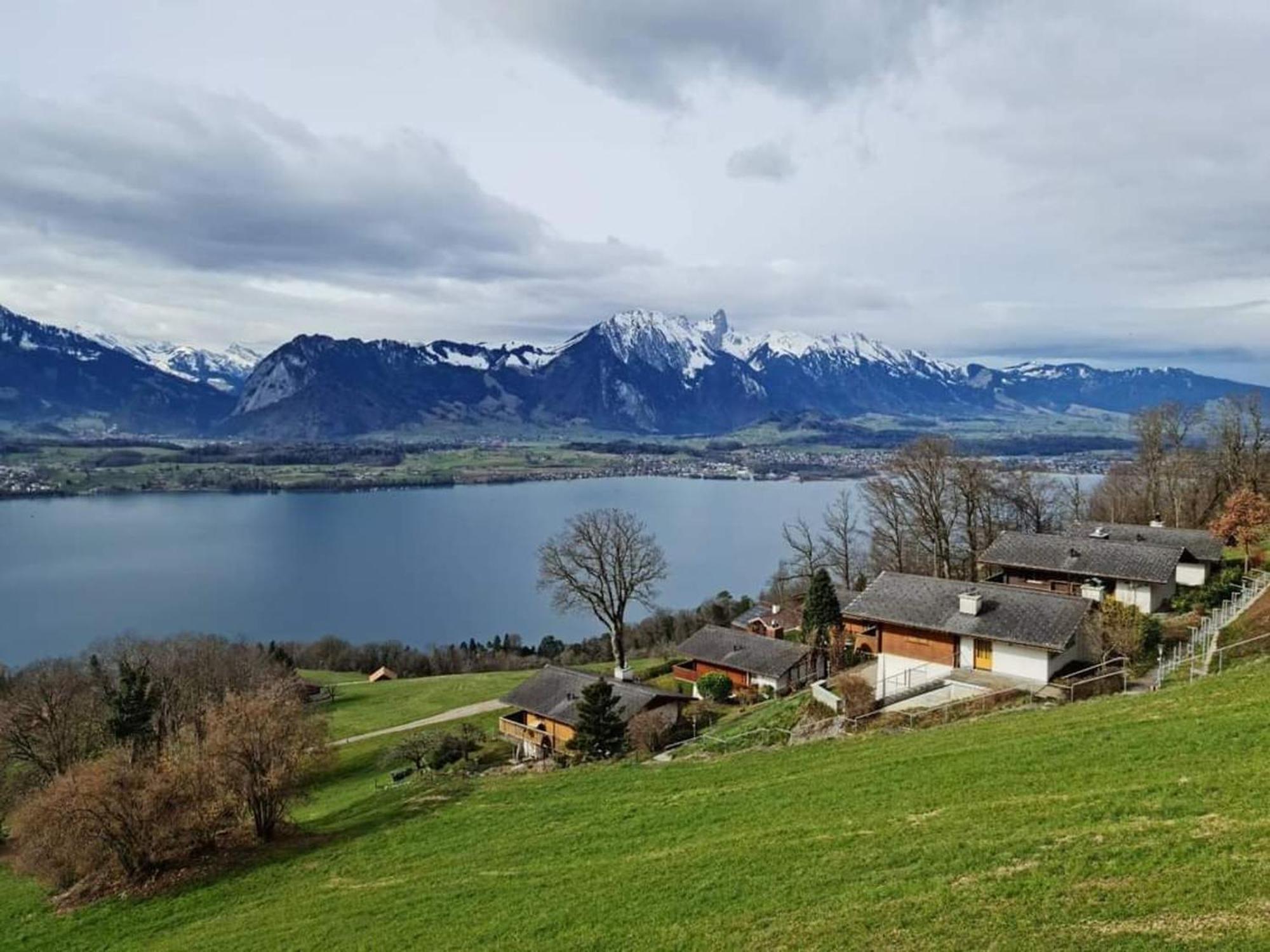 Chalet With View Of The Mountains And The Thun Lake ジーグリスヴィル エクステリア 写真